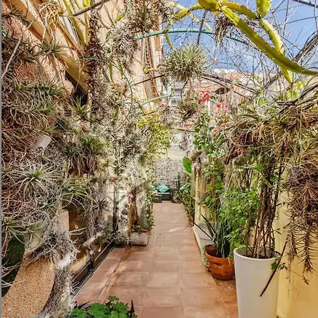 Oasis Epifito Urbano Botanical Wellness Oasis Near Of Arts & Sciencies Ubytování v soukromí Valencie