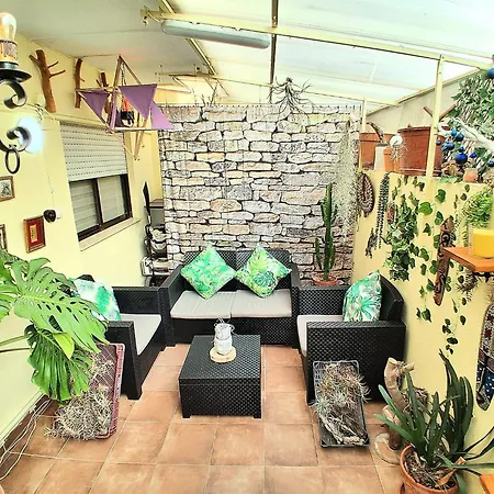 Oasis Epifito Urbano Botanical Wellness Oasis Near Of Arts & Sciencies